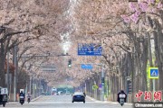 新沂共建“花园城市” 北京这场议政会“百花齐放”