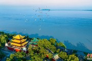 新沂人这一辈子，一定要去岳阳过次端午！