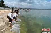 新沂云南江川举行增殖放流活动 逾54万尾鱼游入星云湖
