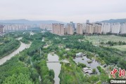 新沂西宁市举办六五环境日主题宣传活动